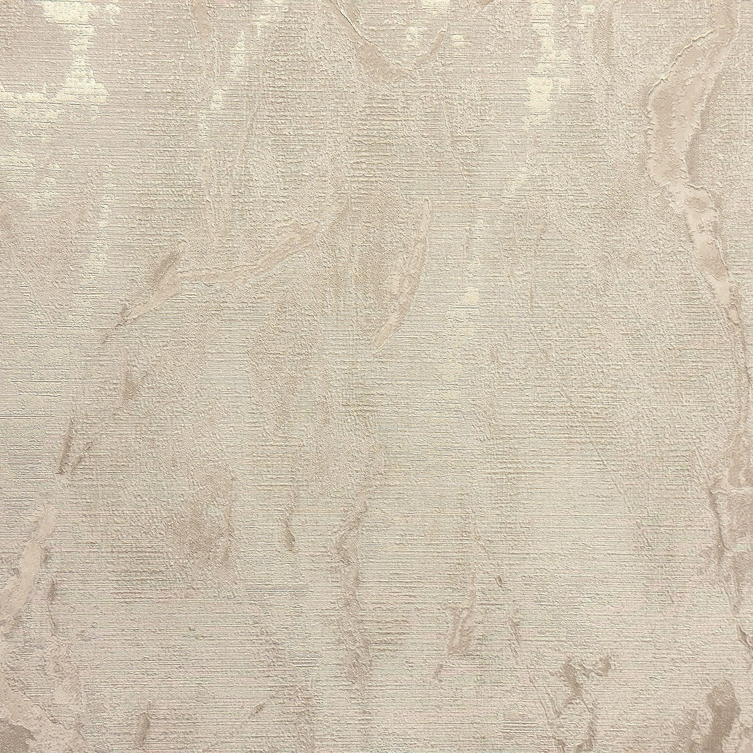 Monica История 2 MS11309