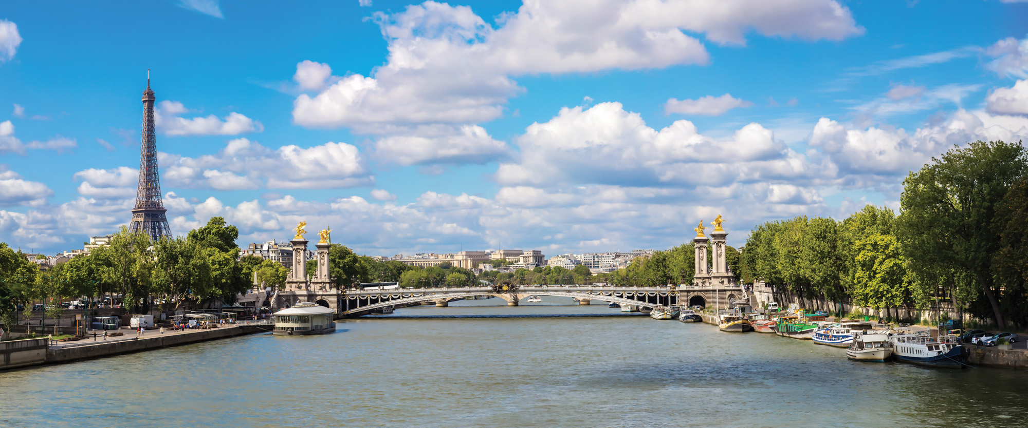 Partner Соло 2876VEP