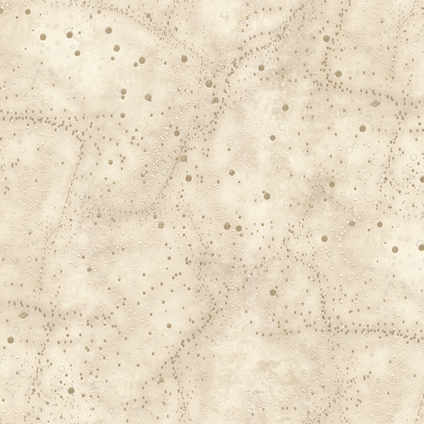 Соло Орион  A3207-4