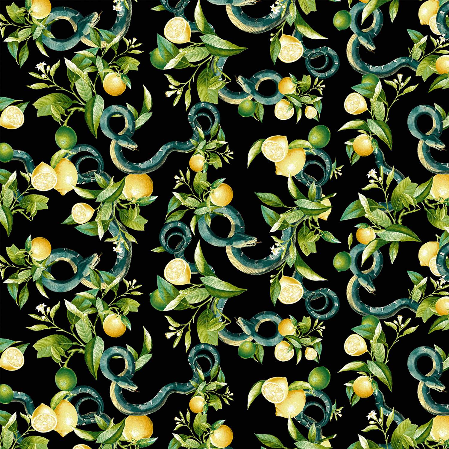 Emiliana Parati Roberto Cavalli №9 21104