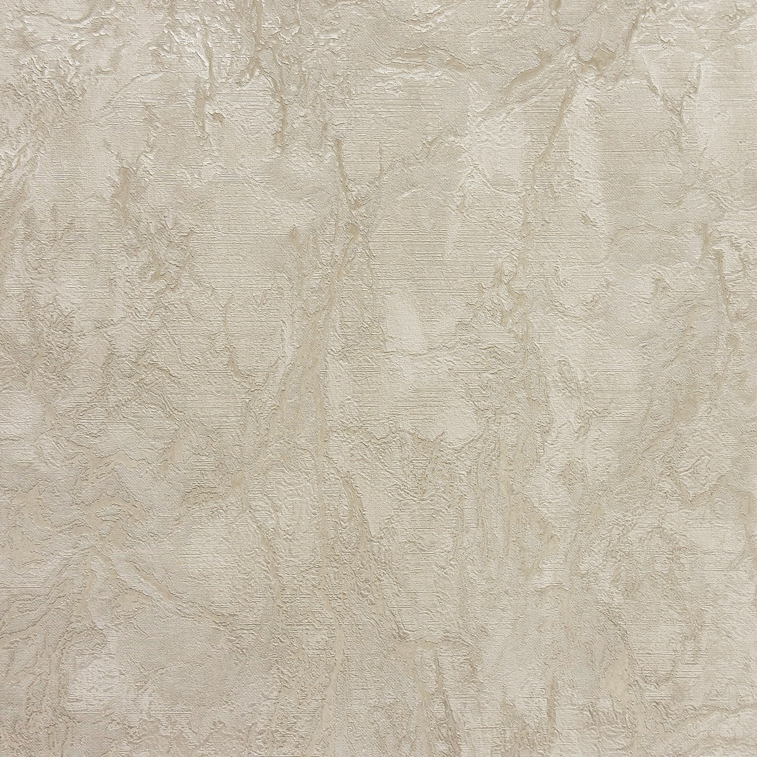 Monica История 2 MS11505