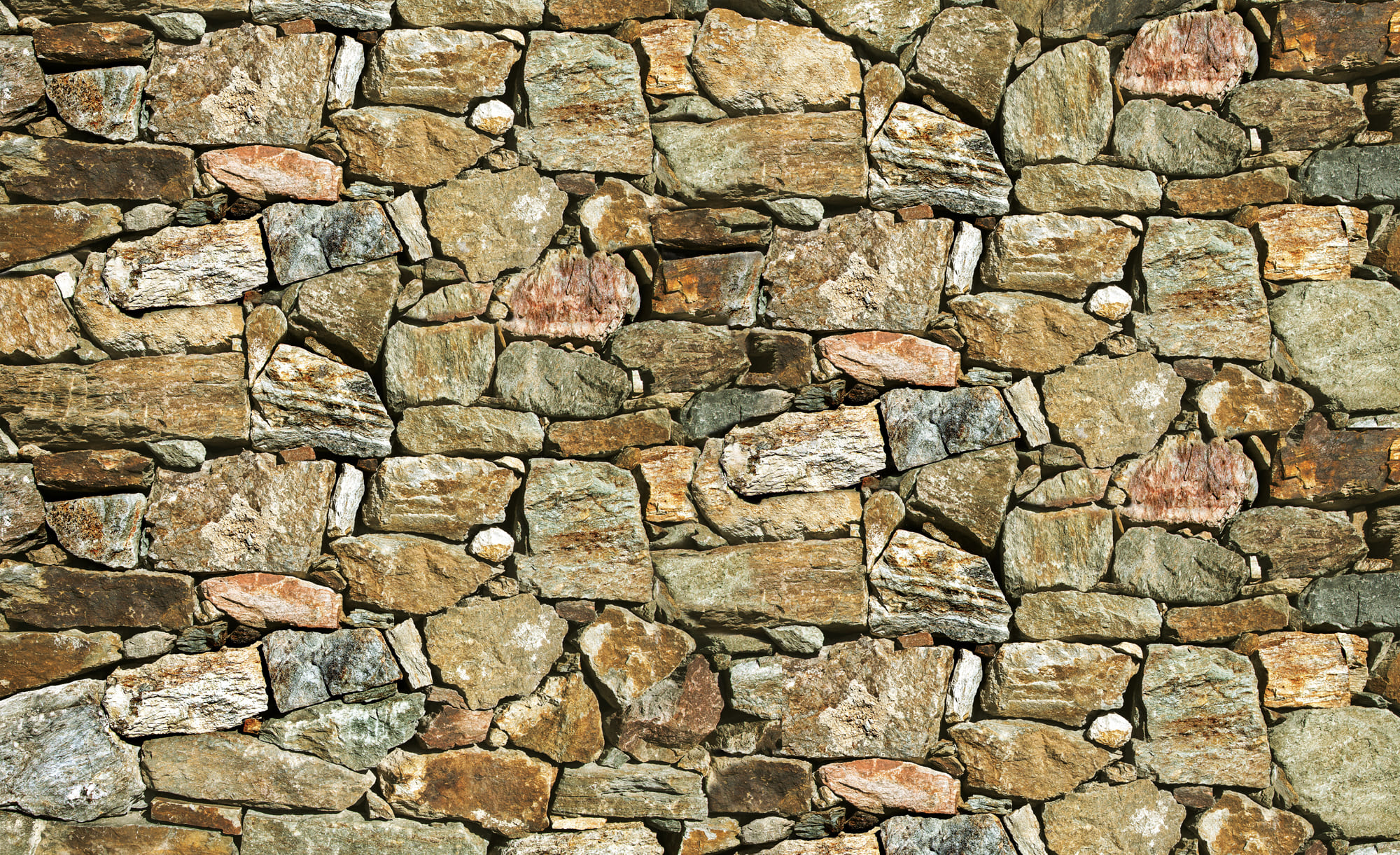 Partner Соло 2193P8