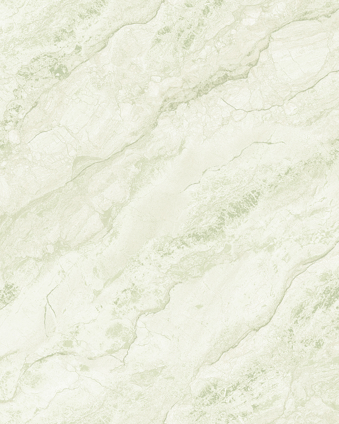 Haoya Лунмэнь ER16011