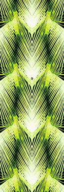 Emiliana Parati Roberto Cavalli 6 17201