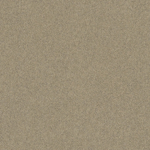 Emiliana Parati Тенденции 73833