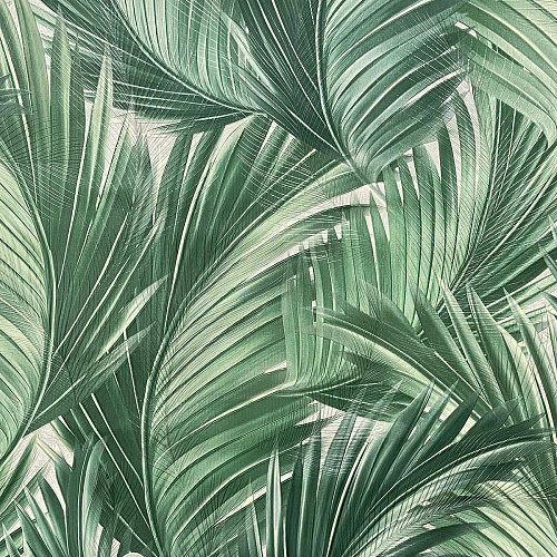 Haoya Эстетичный HK66051