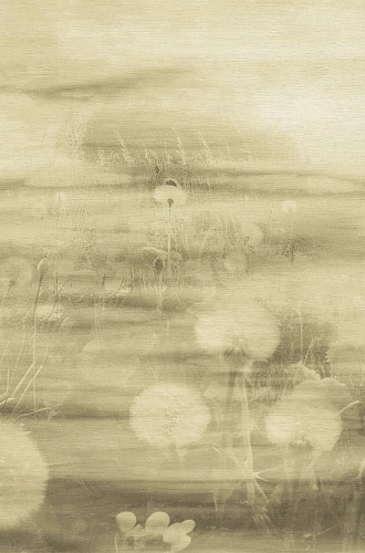 Emiliana Parati Тенденции 73899