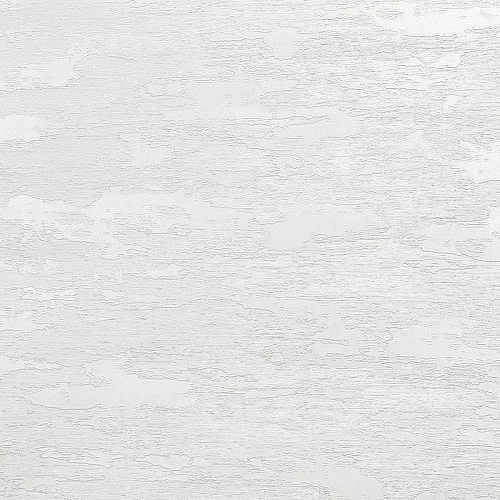 Monica История MS10504