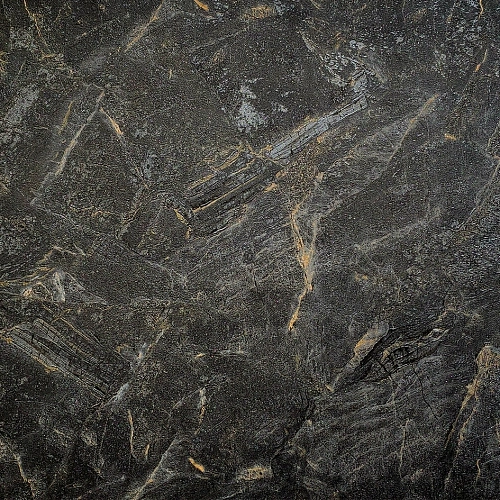 Wiganford Fusion ER2110