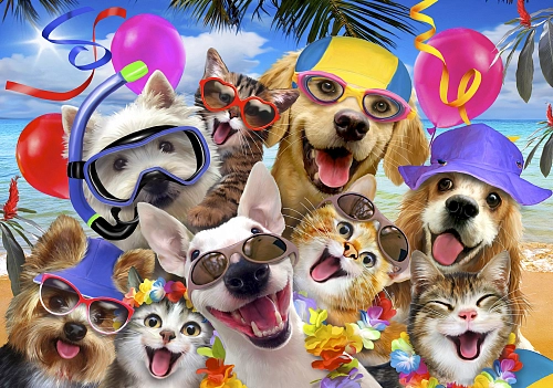 Partner Селфи-Соло 12865V8